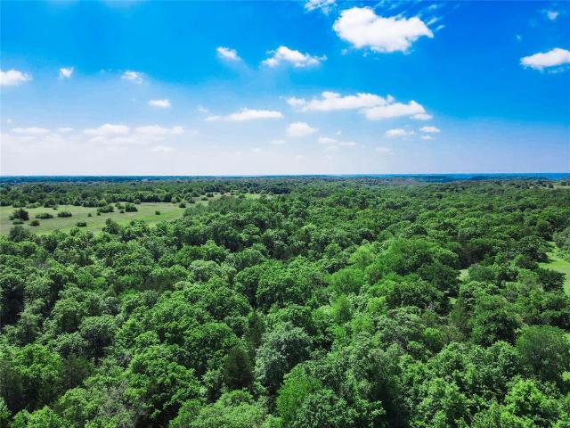 Land for sale in Forestburg, Texas