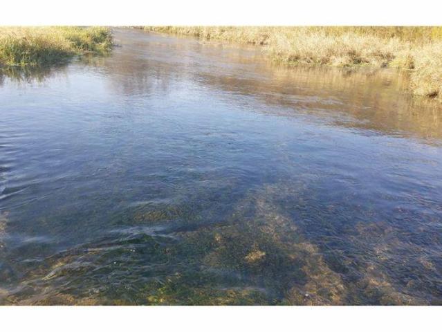 Land for sale in Cannon Falls, Goodhue County
