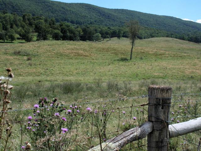 Land for sale in Virginia