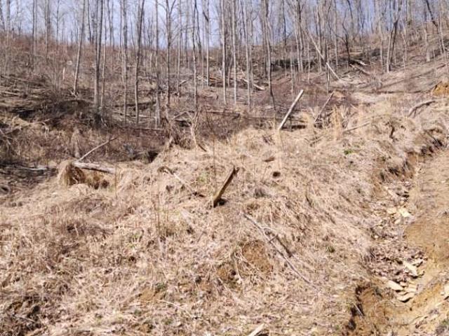 Land for sale in Tennessee