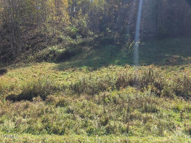 Land for sale in Trade, East Tennessee