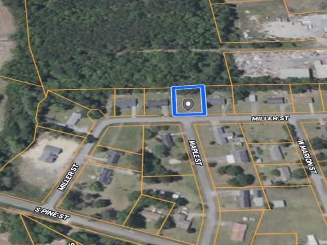 Land for sale in Johnsonville, South Carolina