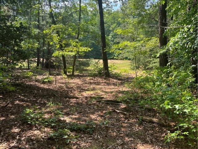 Land for sale in Virginia