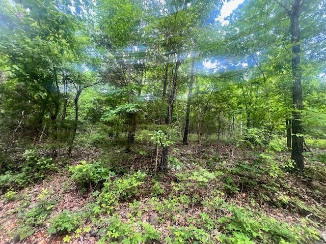 Land for sale in Mammoth Spring, Missouri