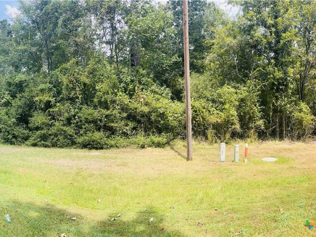 Land for sale in Polk, Texas
