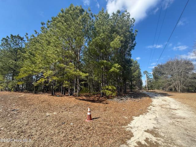 Land for sale in Rockingham, North Carolina