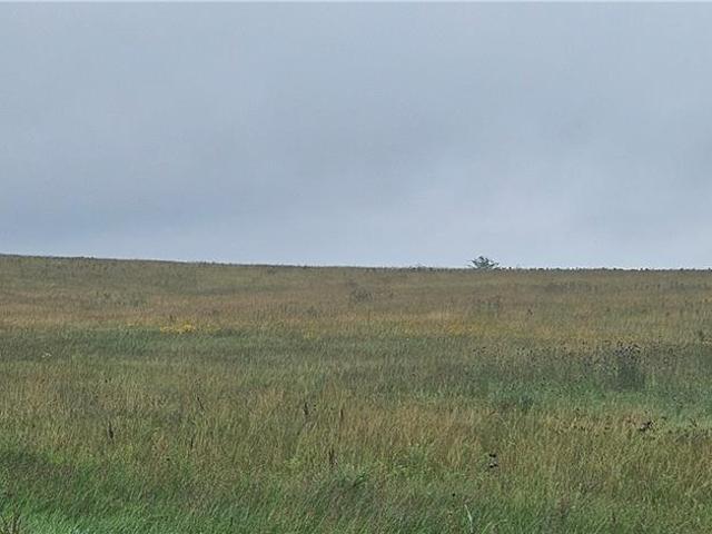 Farm for sale in Plattsburg, Missouri