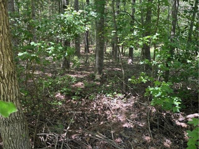 Land for sale in Virginia
