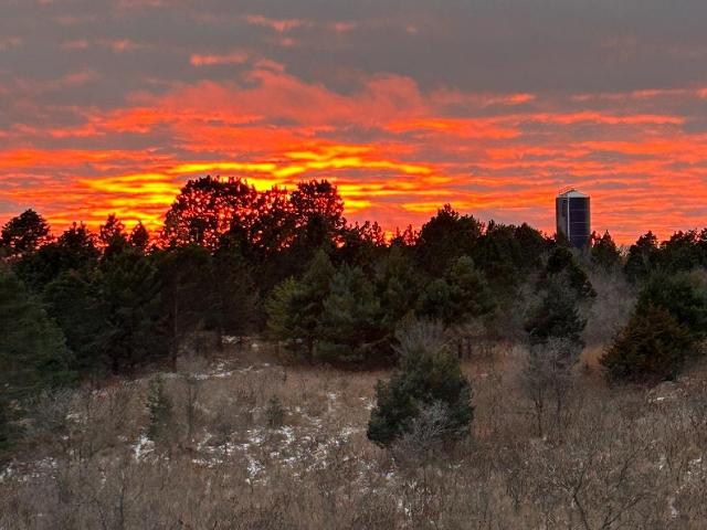 Land for sale in Starbuck, Minnesota