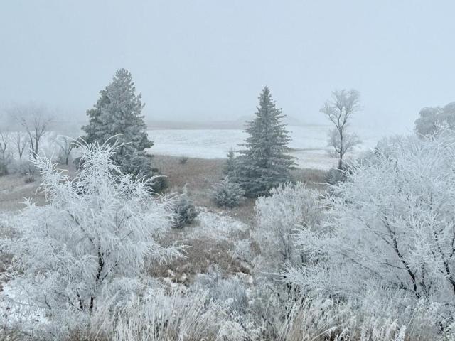 Land for sale in Starbuck, Minnesota