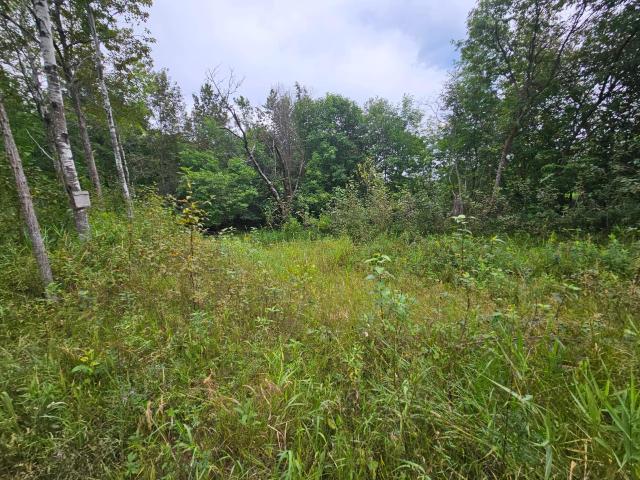 Land for sale in Beltrami, Minnesota