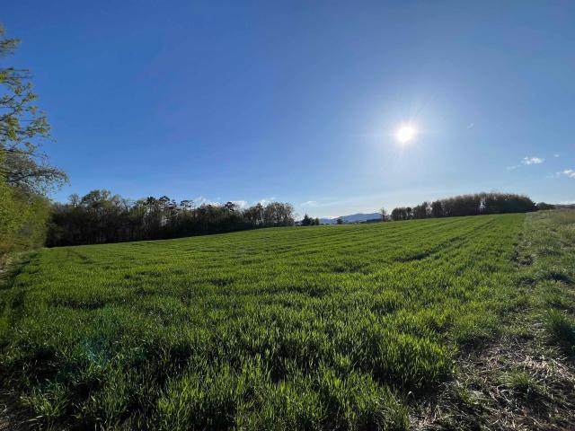 Land for sale in Virginia