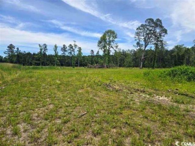 Land for sale in Mount Olive, Green Sea