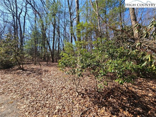 Land for sale in Alleghany, North Carolina