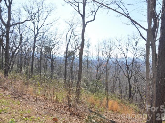 Land for sale in Marion, North Carolina