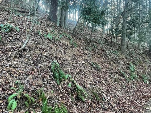 Land for sale in North Carolina