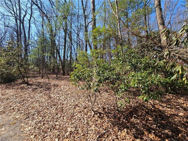Land for sale in Alleghany, North Carolina