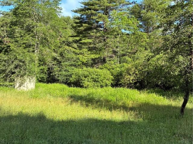 Land for sale in Alleghany, North Carolina