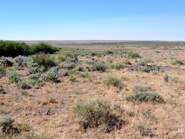 Land for sale in Owyhee, Idaho