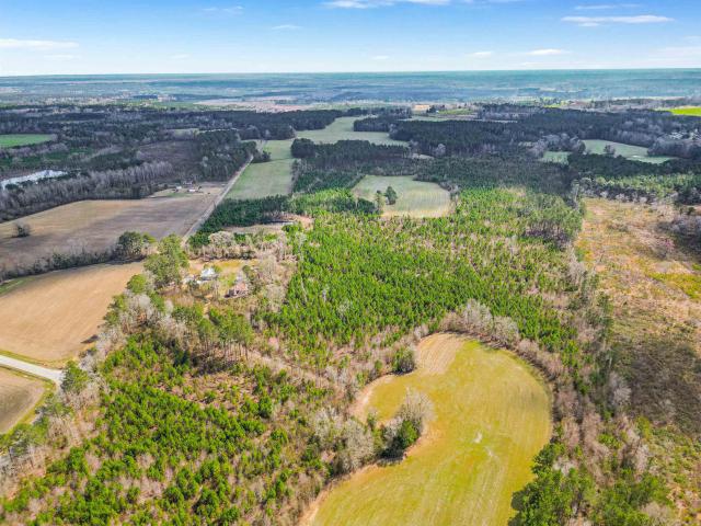 Land for sale in Hemingway, South Carolina
