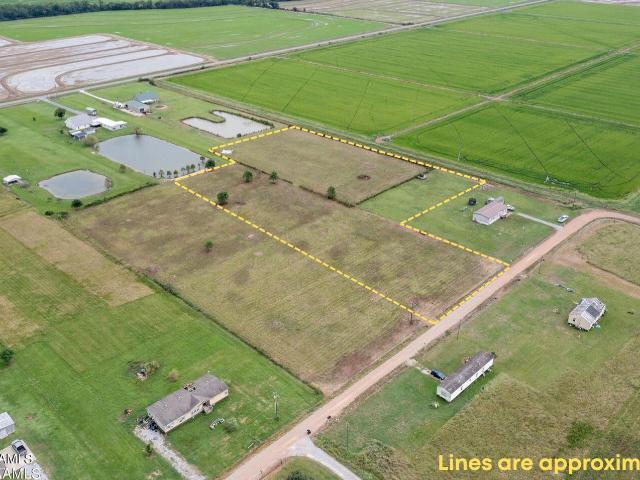 Land for sale in Iota, Louisiana