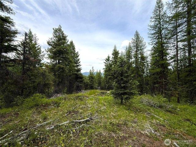 Land for sale in Republic, Washington