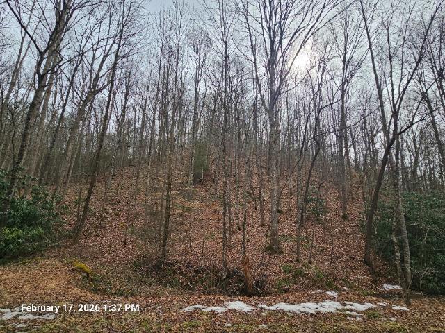 Land for sale in Virginia