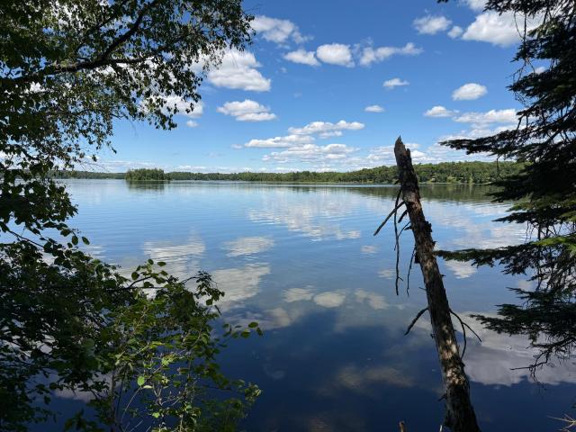 Land for sale in Longville, Minnesota