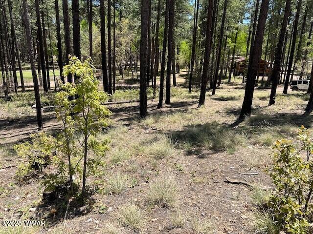 Land for sale in Alpine, Arizona