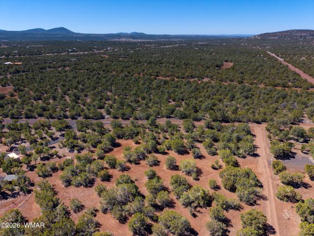 Land for sale in Arizona