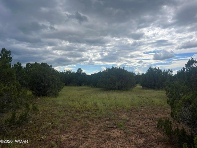 Land for sale in Arizona