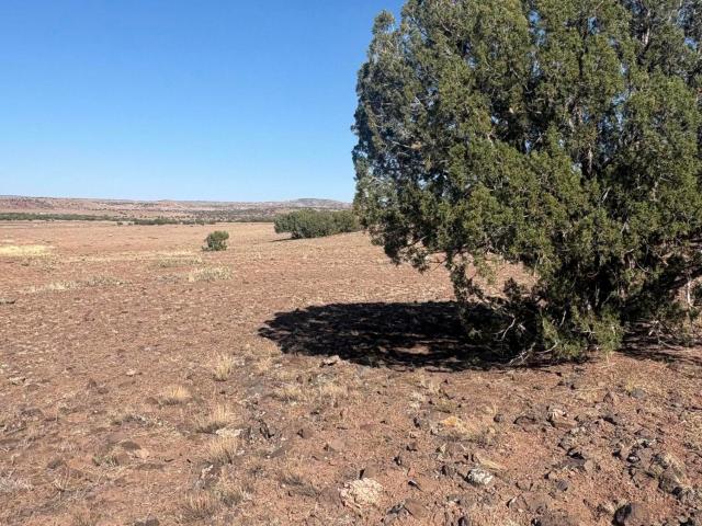 Farm for sale in Chambers, Arizona