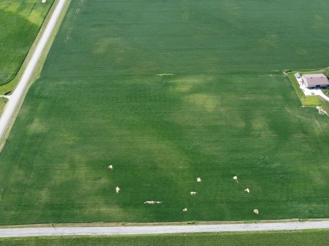 Land for sale in Uniondale, Indiana