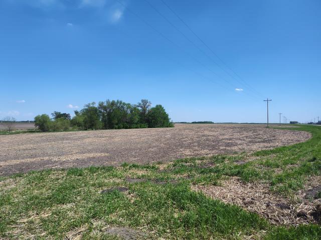 Land for sale in Glyndon, Minnesota