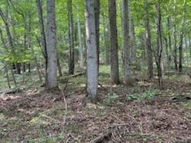 Land for sale in Virginia