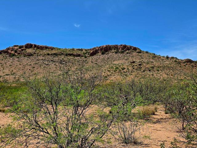 Land for sale in Douglas