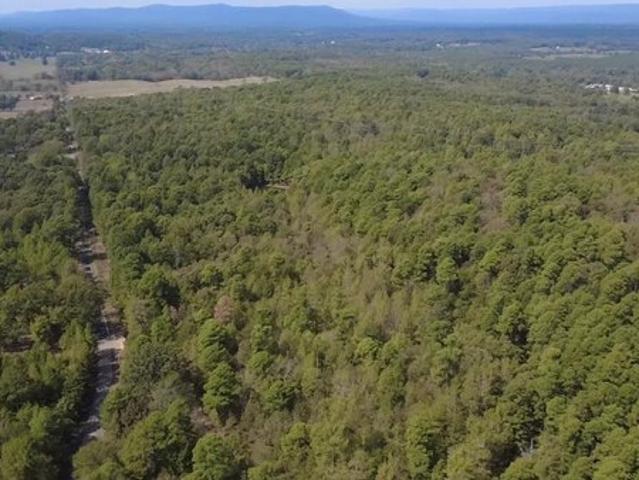 Land for sale in Mena, Polk County