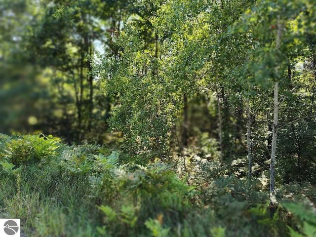 Land for sale in Clare, Michigan