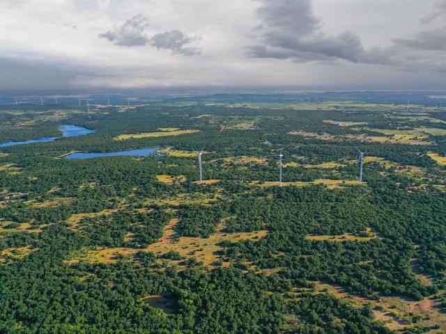 Land for sale in Bryson, Texas
