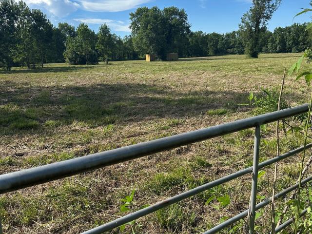 Land for sale in Shepherd, Texas
