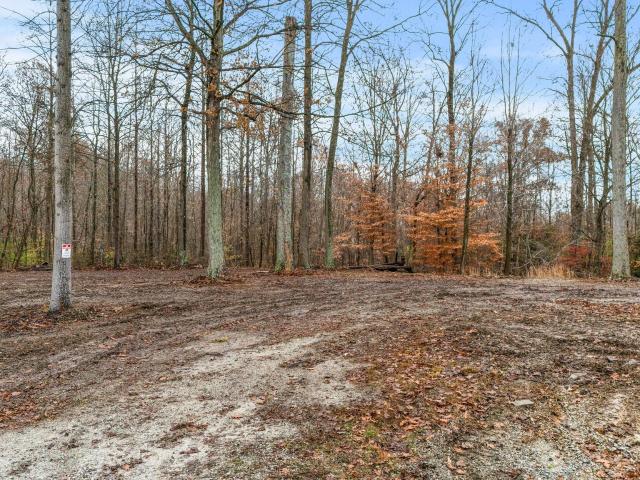 Land for sale in Newry, Seymour