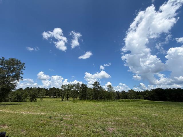 Land for sale in Lovelady, Texas