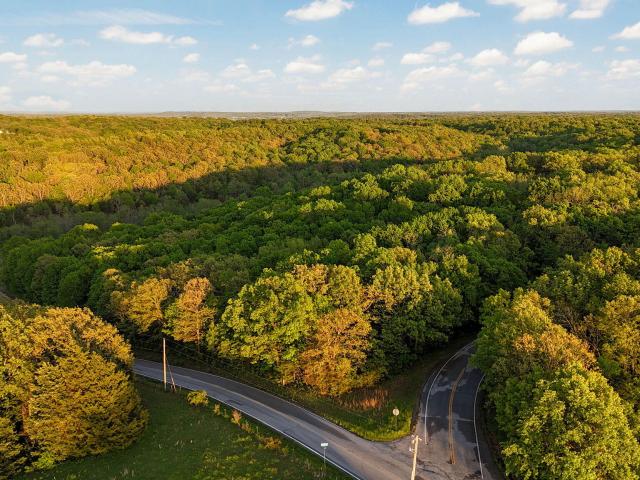 Land for sale in Fair Grove
