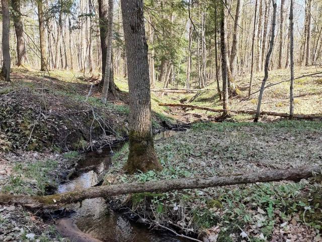 Land for sale in Greenland, Michigan