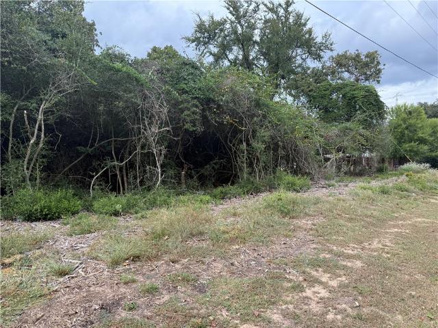 Land for sale in Leon, Texas