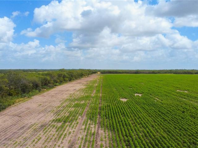 Land for sale in Texas