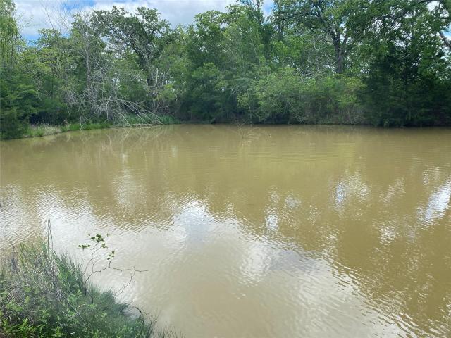 Land for sale in Texas