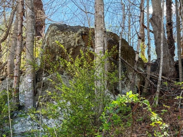 Land for sale in Virginia