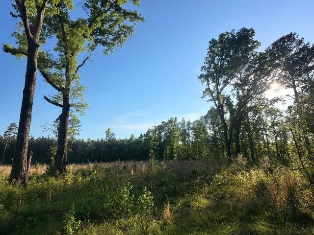 Land for sale in Sanders Corner, Rembert