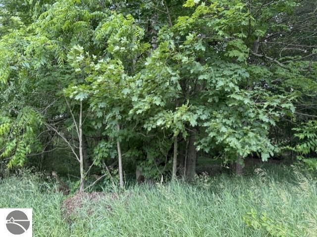 Land for sale in Stanton, Michigan